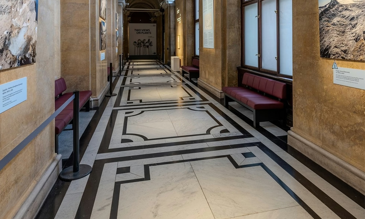 corredor do museu de história natural