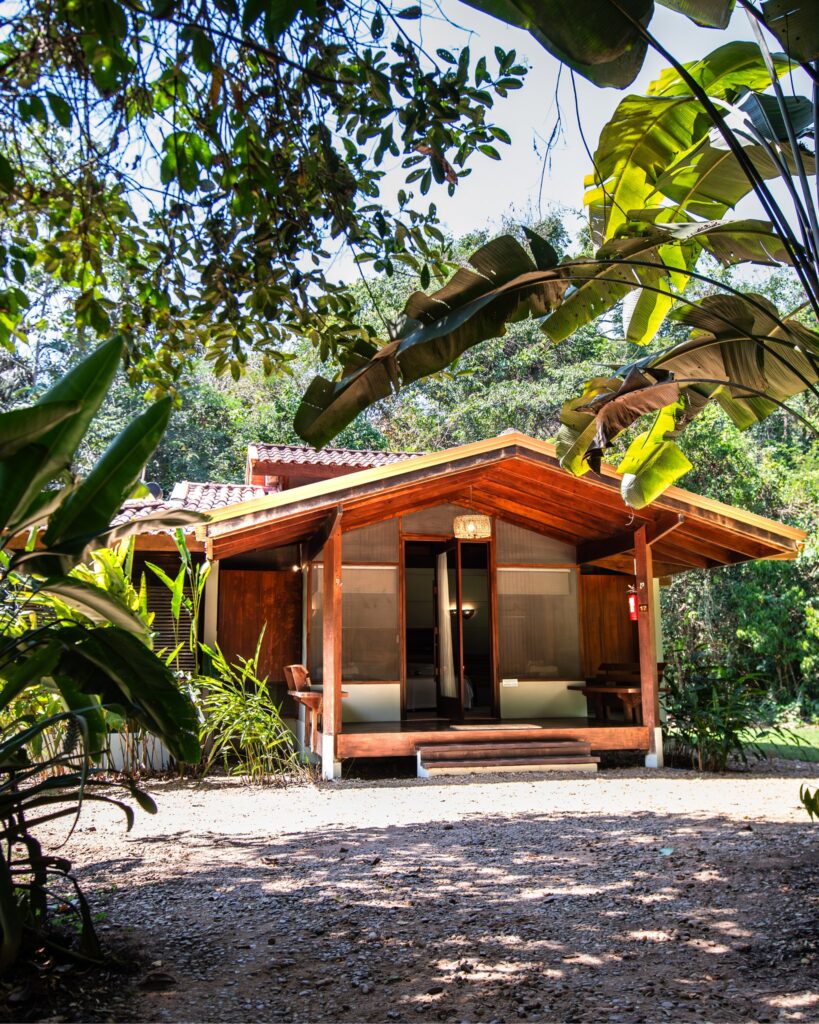 Bangalô de madeira cercado pela floresta, um refúgio para a páscoa para amantes da natureza e do ecoturismo.