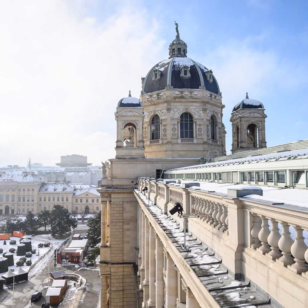 Museu da História Natural (reprodução)