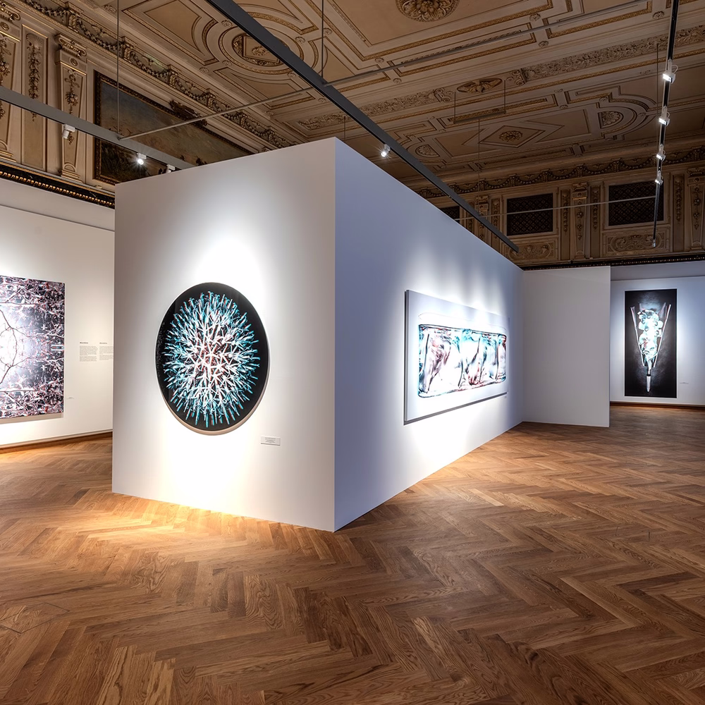 Museu da História Natural (reprodução)