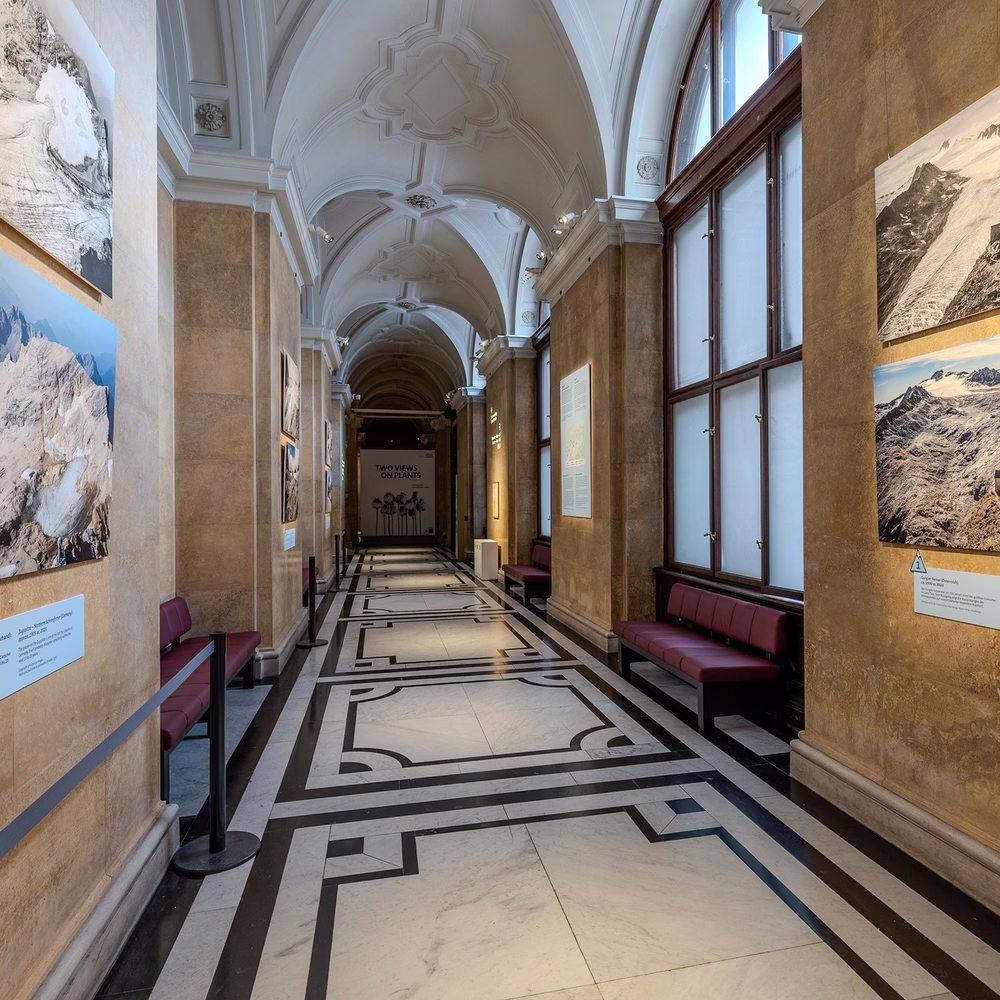 Museu da História Natural (reprodução)