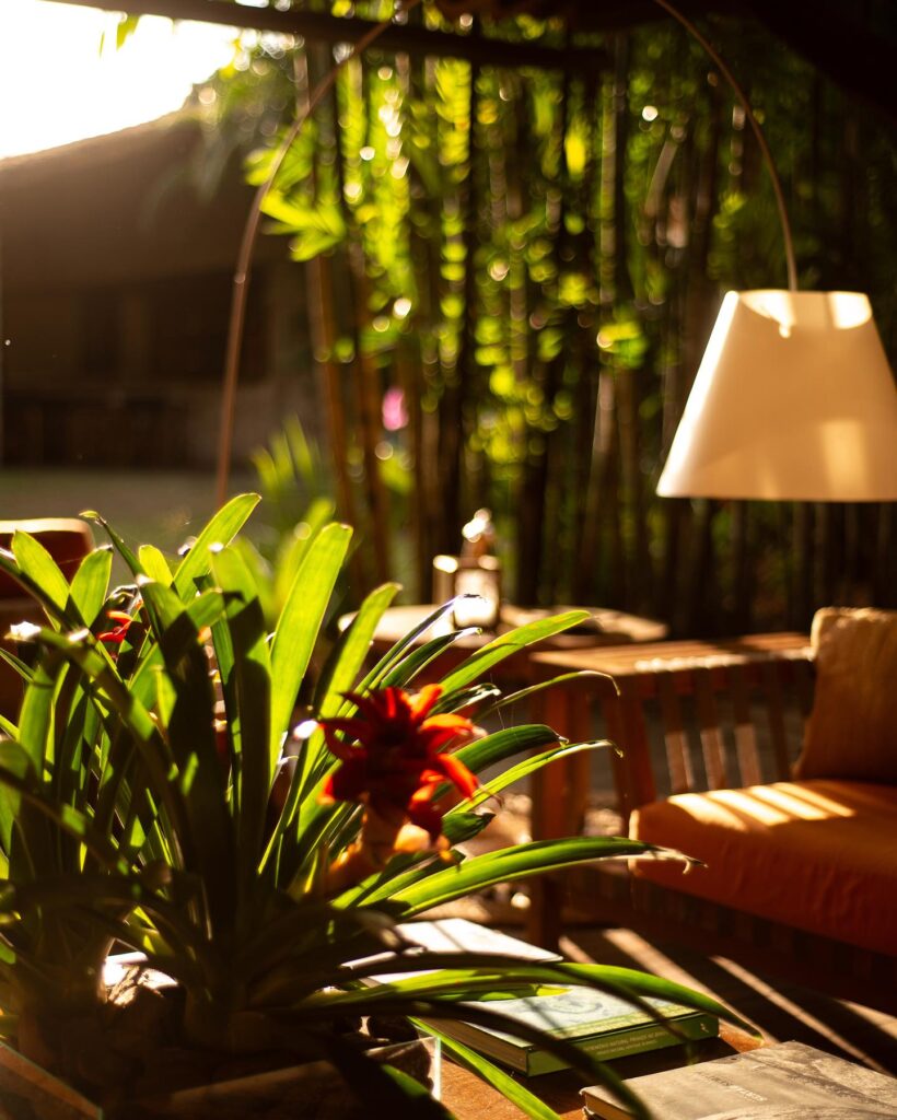 Detalhe de decoração com plantas e iluminação de design na Pousada Literária.