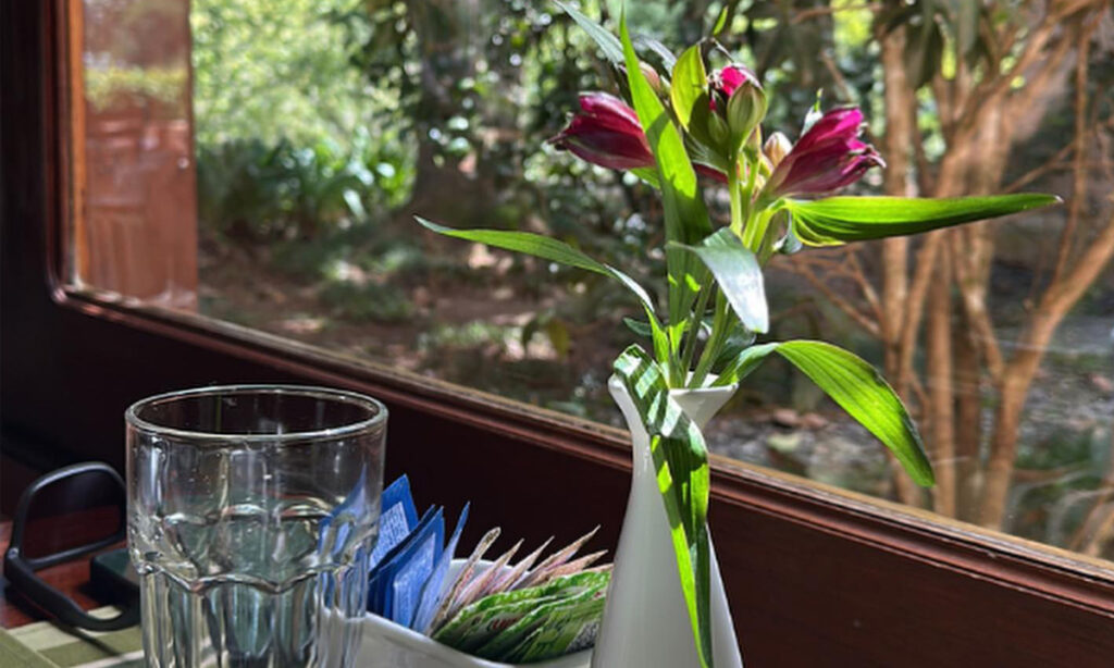 mesa a loado da janela com vista para o jardim