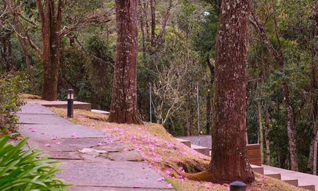 jardim da pousada do cedro