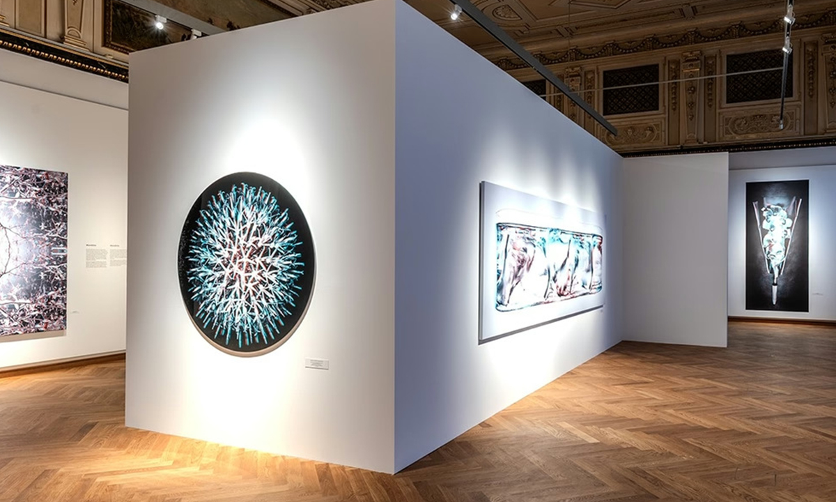 sala de exposição do museu de história natural