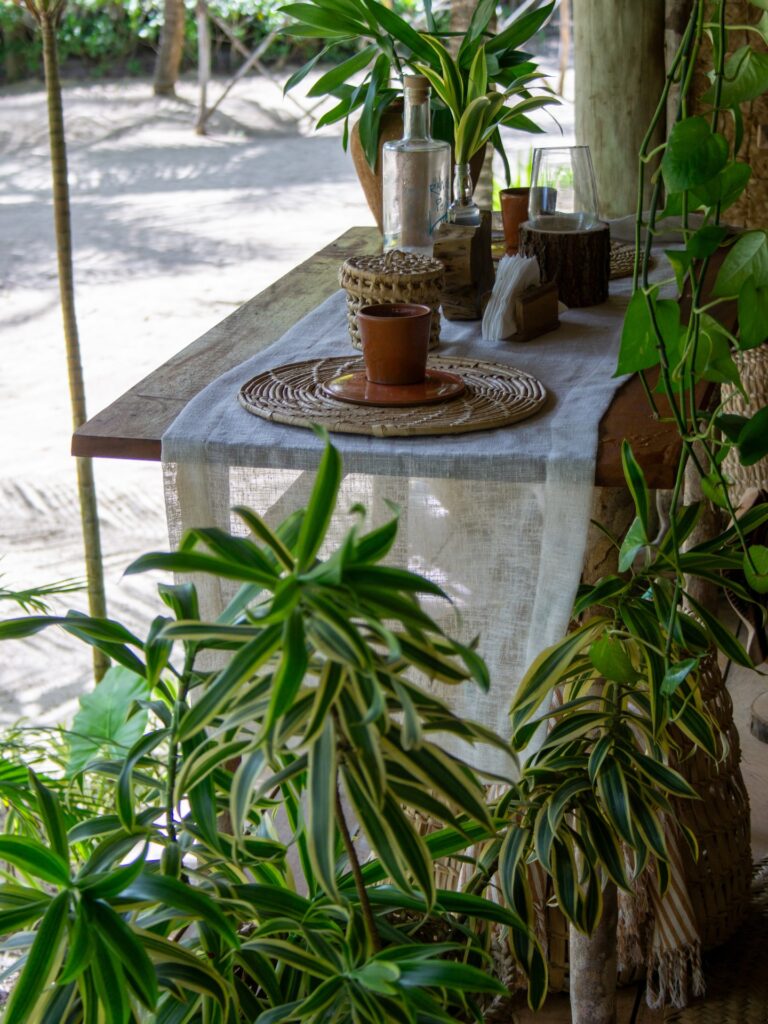 Mesa posta com elementos naturais, cerâmica e plantas tropicais na pousada Rancho do Peixe.