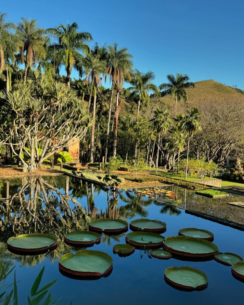 Jardim de Burle Marx com espelho d'água e vitórias-régias em fazendas históricas para se hospedar no interior de São Paulo.