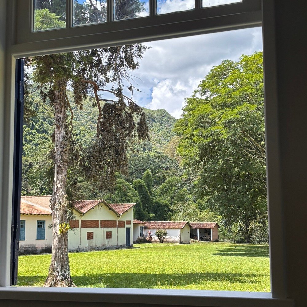 Interior de fazenda com arco, móveis de época e arranjo floral em arquitetura colonial brasileira de luxo.