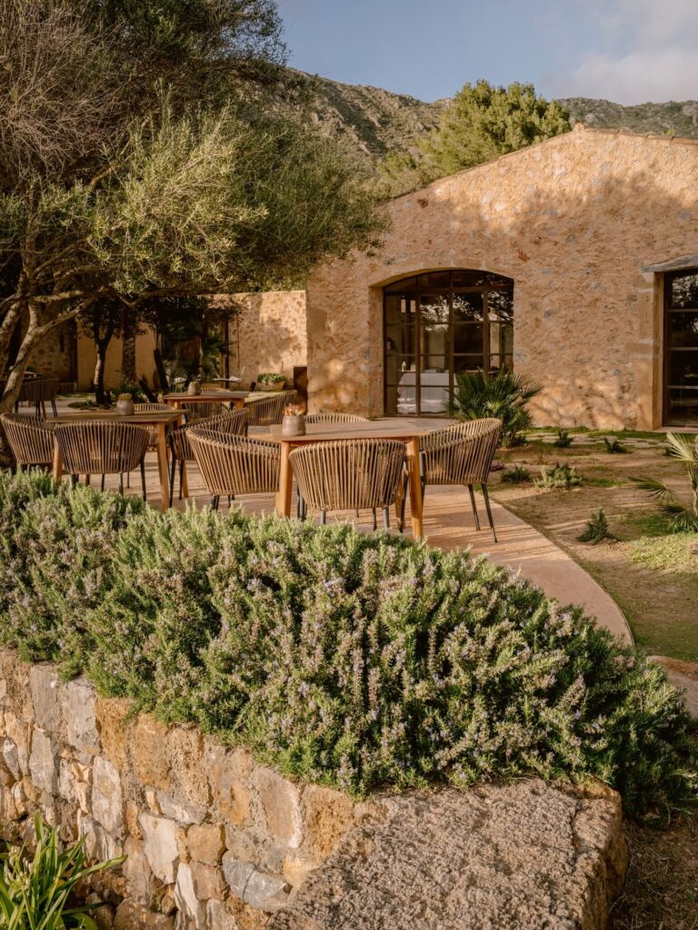 Pátio histórico de pedra medieval com oliveira no Es Racó d'Artà, hotel perfeito para lua de mel na europa.