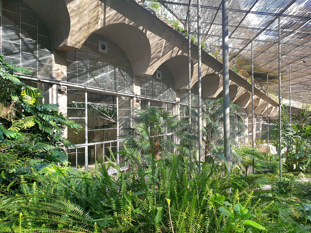 Arquitetura singular e vegetação tropical da Estufa Fria de Lisboa durante a melhor época para visitar portugal.