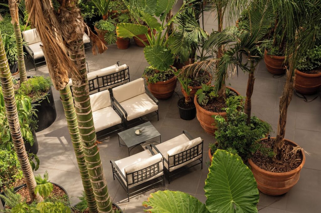 Jardim interno do hotel Palazzo Talìa em Roma com vasta vegetação tropical em vasos de terracota e lounge externo elegante.