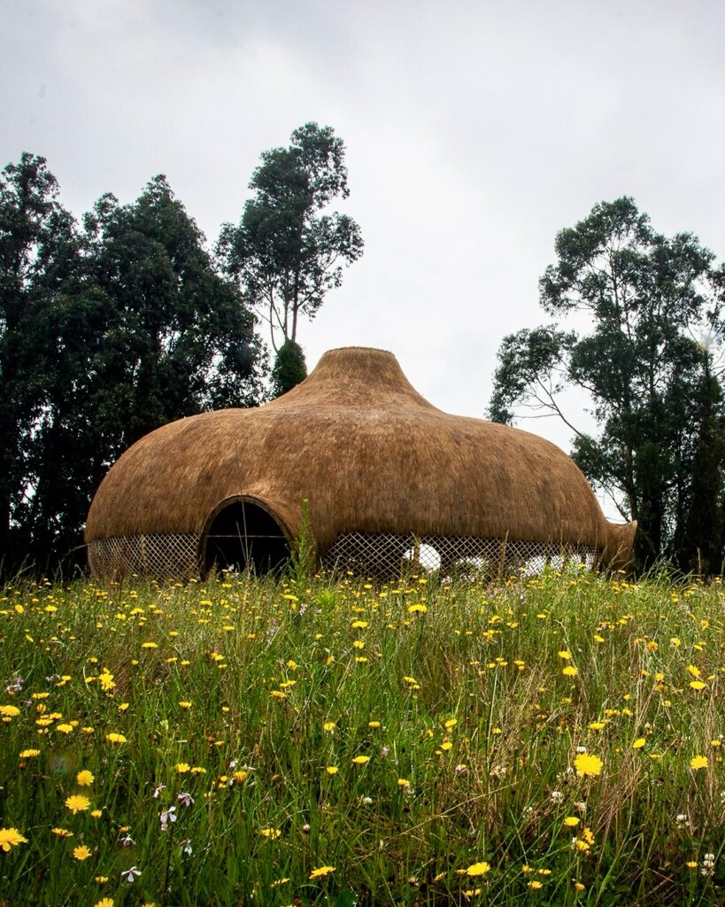 Pavilhão Casa de Pensamiento em palha e bambu em meio à vegetação, expressando a essência da arquitetura vernacular.