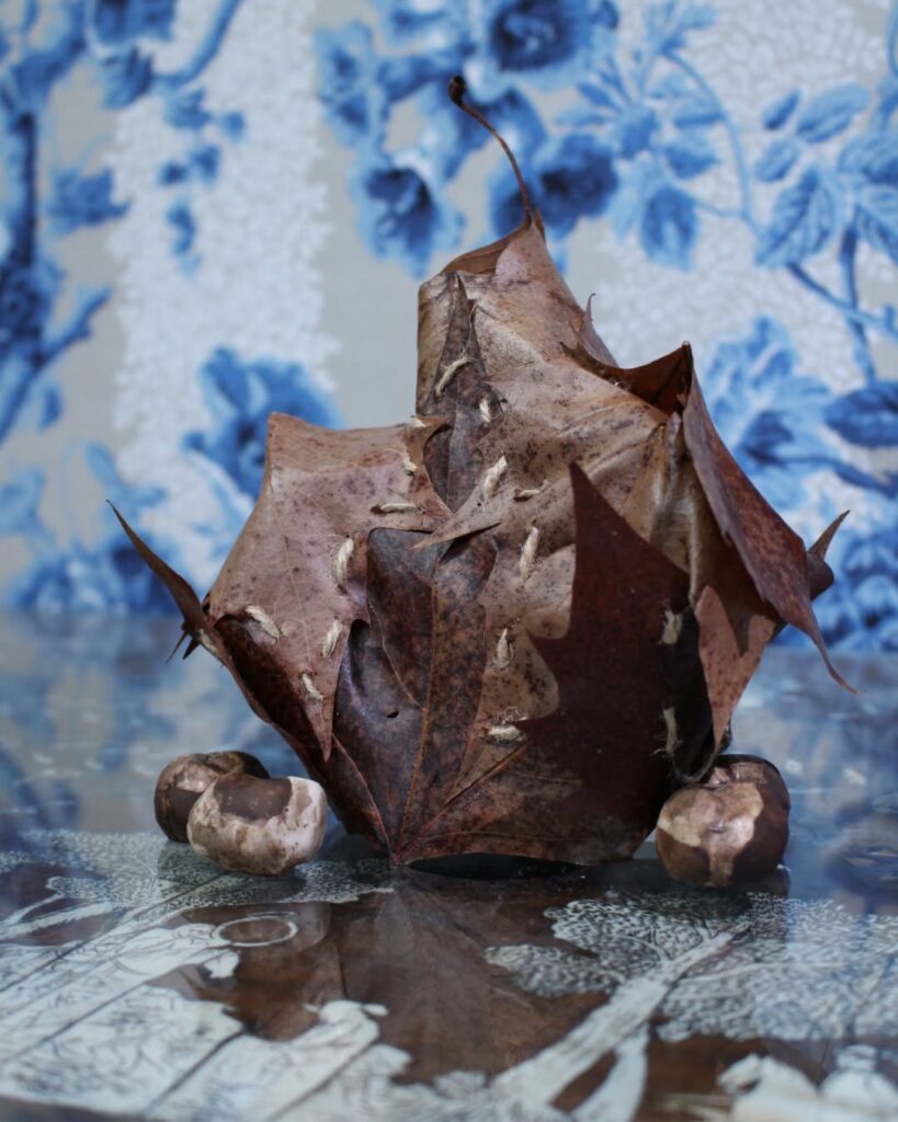 Arte em folhas secas e papel de parede no Musée de la Chasse et de la Nature, museus pequenos em paris.