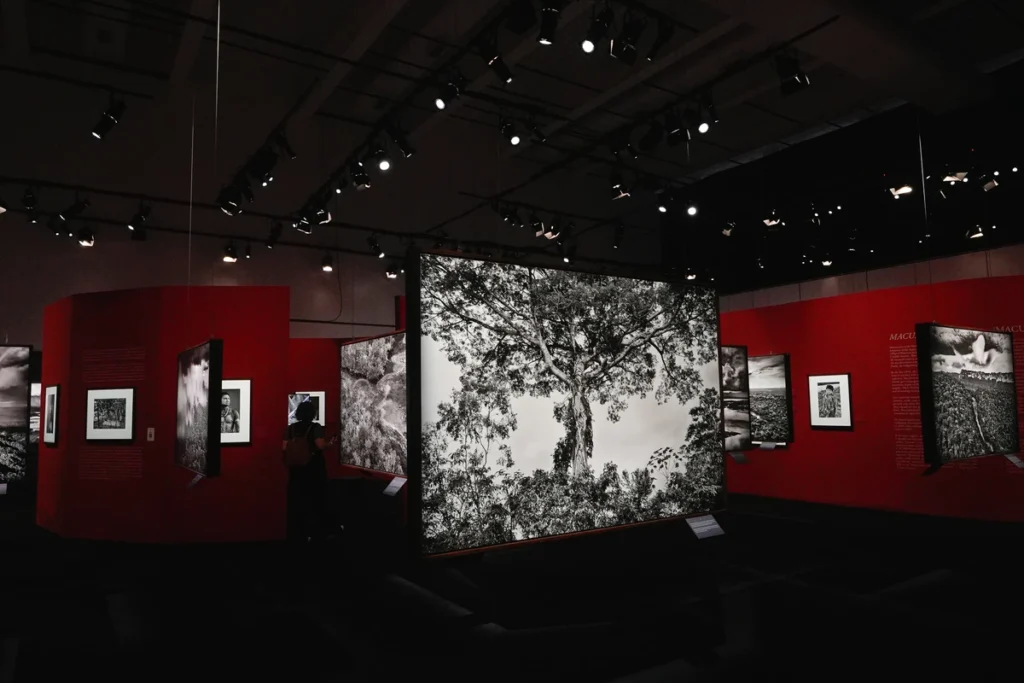 Interior do Museu Cais das Artes com a exposição Amazônia de Sebastião Salgado e iluminação cênica sobre painéis vermelhos.