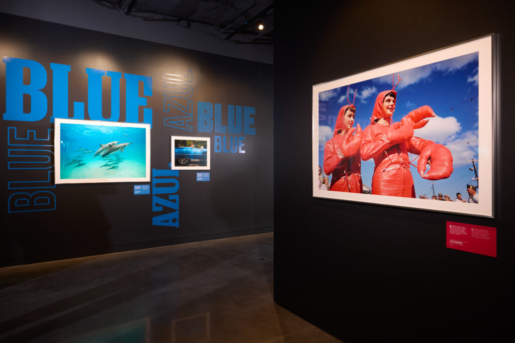 Galeria Spotlight do National Geographic Museum of Exploration com expografia contemporânea e mostra Red, White & Blue.