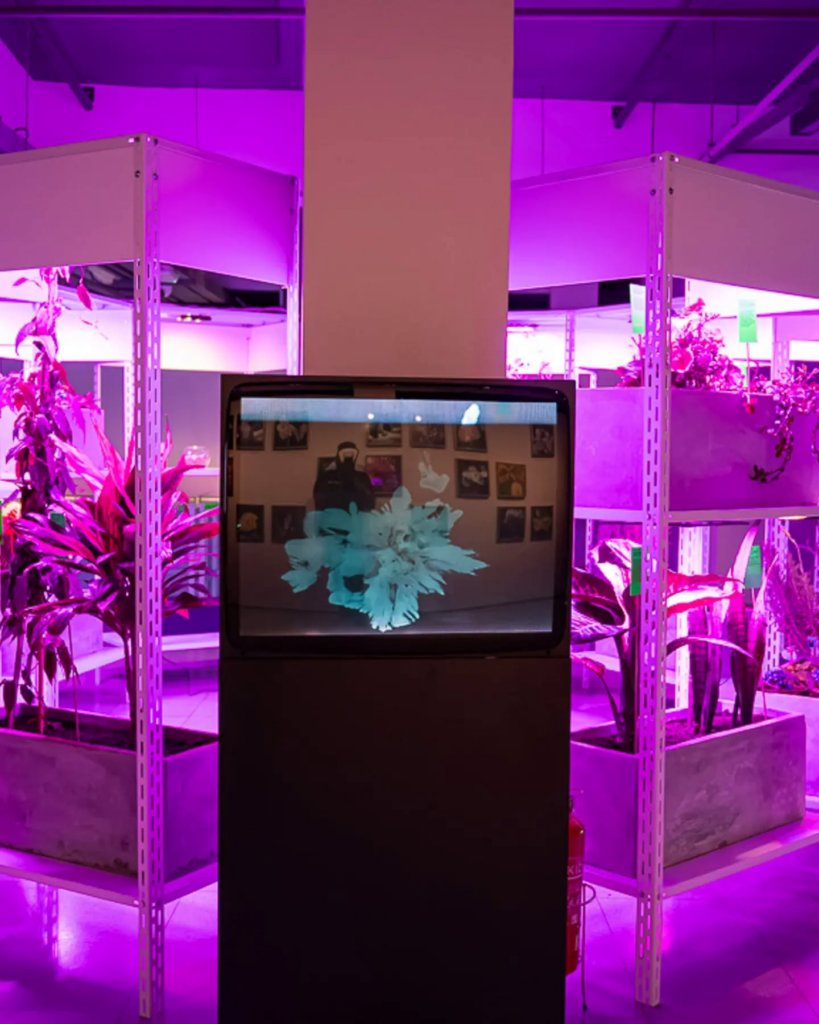 Instalação biofílica com luz magenta no Sesc 24 de Maio, inspiração arquitetura decoração são paulo.