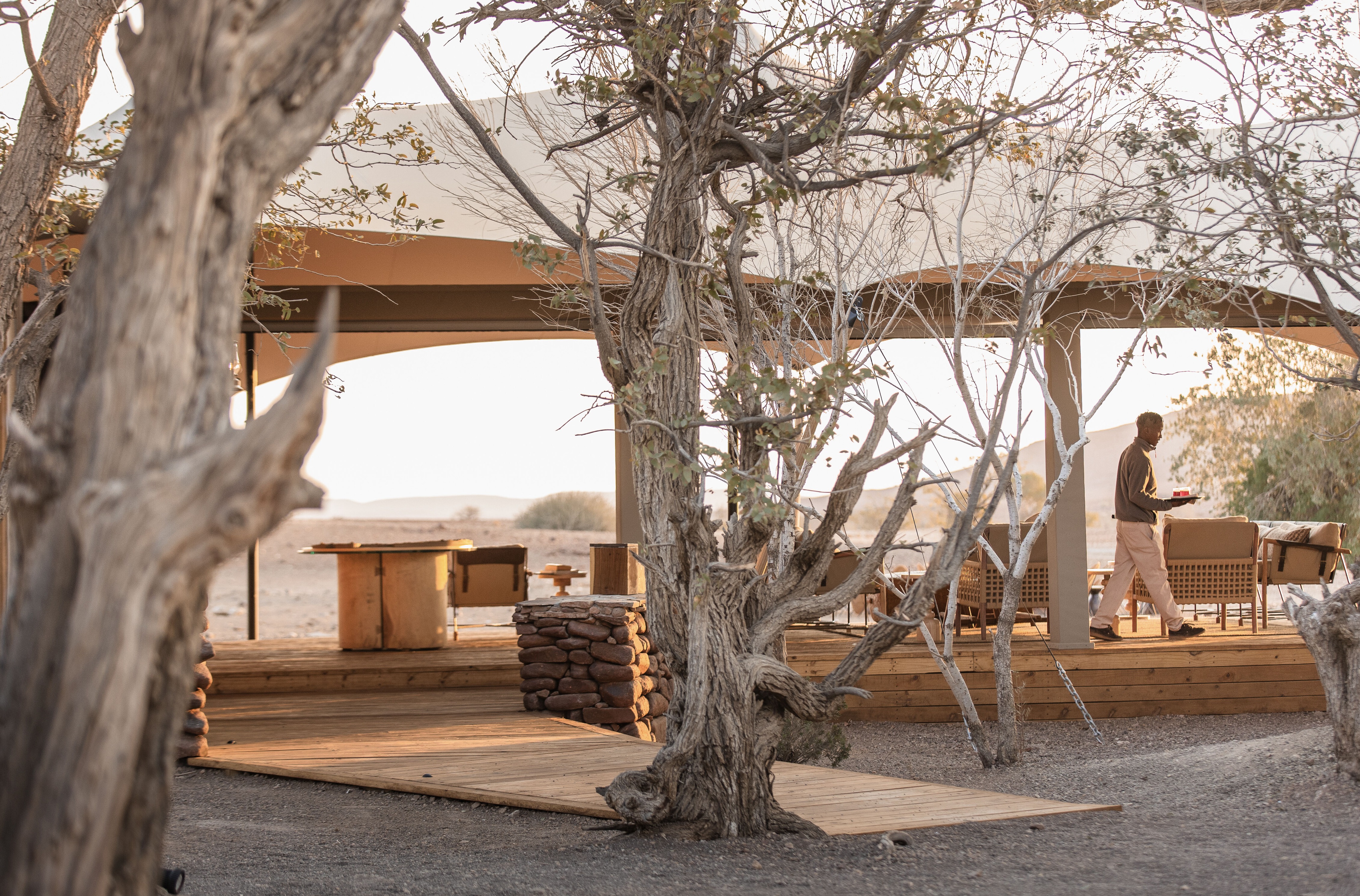 Passarela de madeira suspensa entre a vegetação nativa no Desert Rhino Camp.