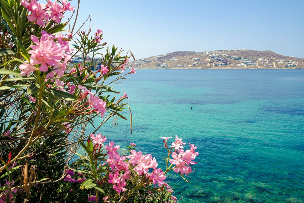 dica de viagem em Mykonos