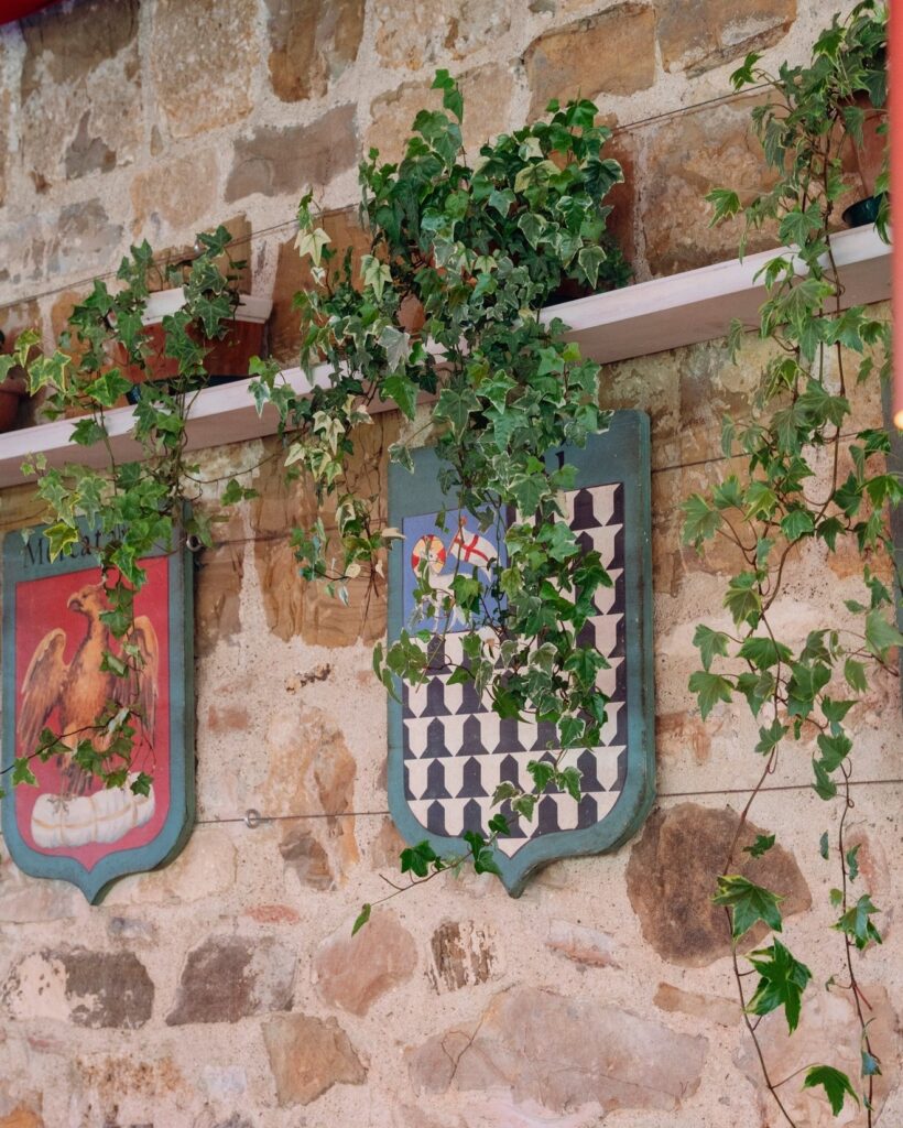 Parede de pedra toscana com brasões medievais e folhagens pendentes na Osteria di Passignano, unindo história e design rústico refinado.